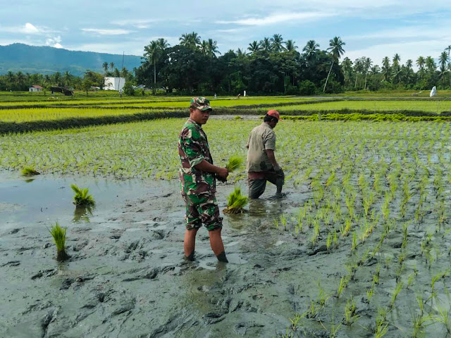 BANTU PETANI GARAP SAWAH-748fcb9a