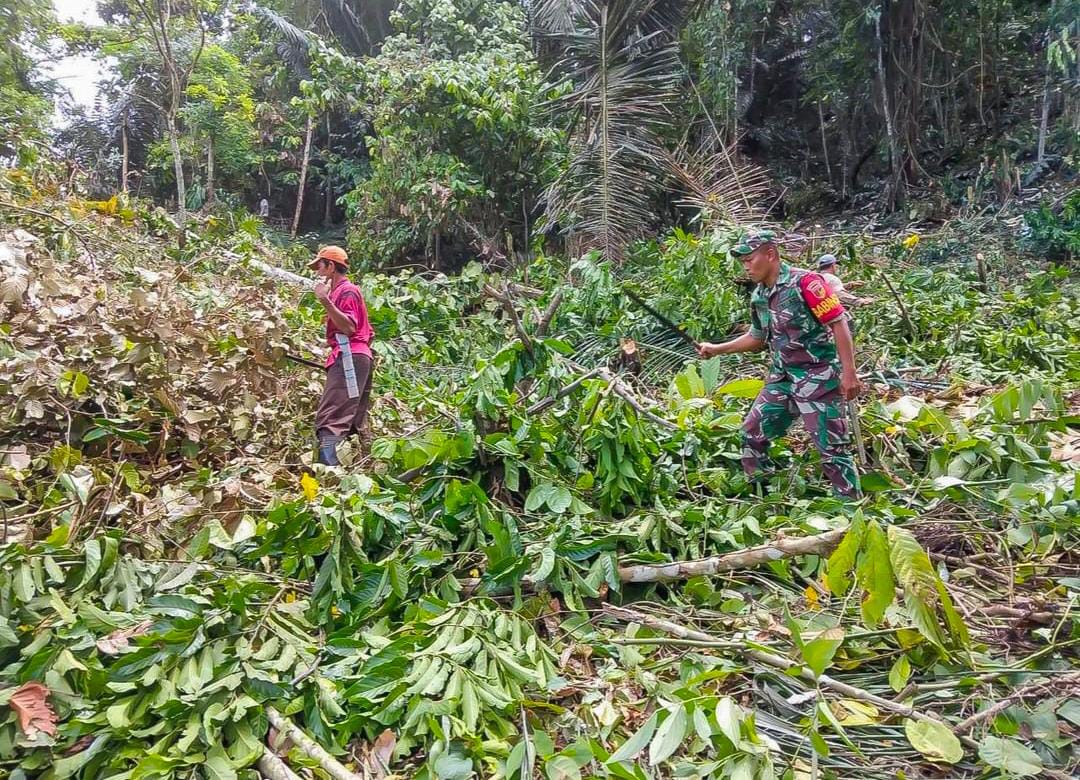 Ubah Lahan Tidur Jadi Produktif-4f1f5a9c