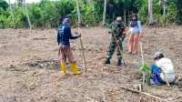 Tanam Jagung, Sukseskan Swasembada Pangan-c0b060c4