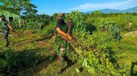 TANAM ANGGUR DI LAPANGAN TEMBAK-49c5066d