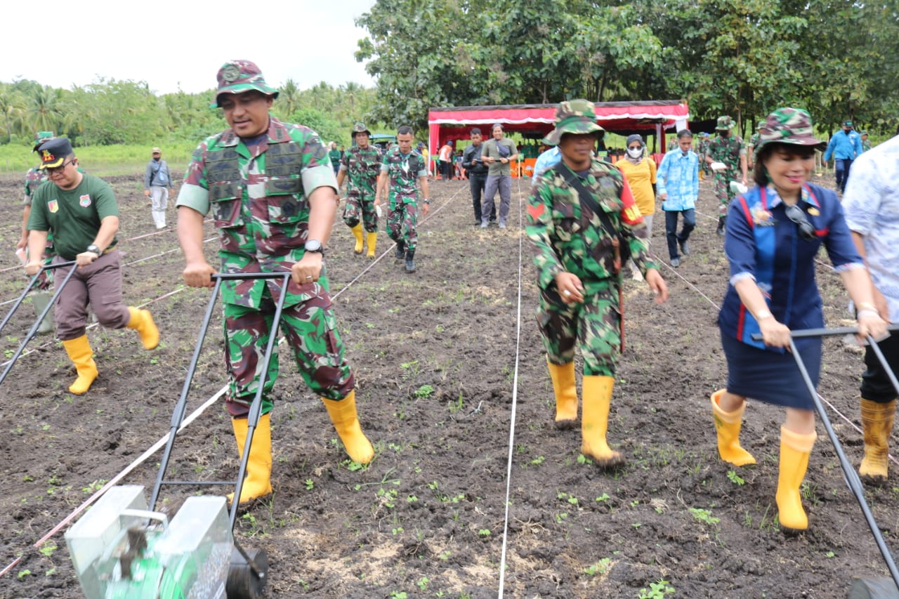 TANAM PERDANA KODIM LB-516c34cd