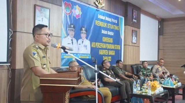 Pemenuhan Gizi Faktor Penting Penurunan Stunting - HARIAN MERCUSUAR