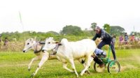 SAPI -- FOTO A
