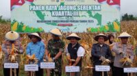 JAGUNG
