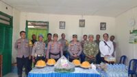 SINERGI